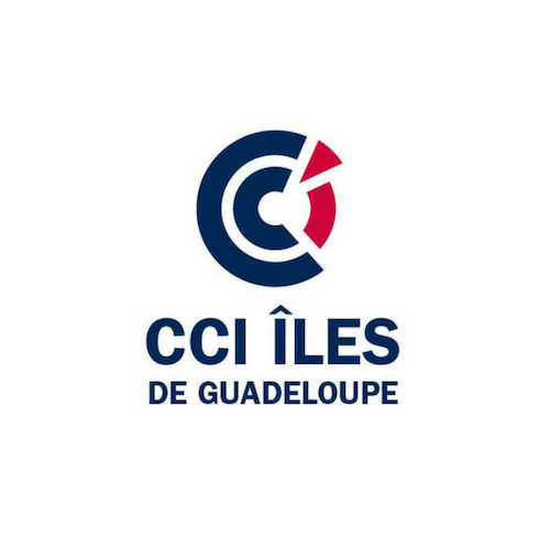 Logo CCI Îes de Guadeloupe